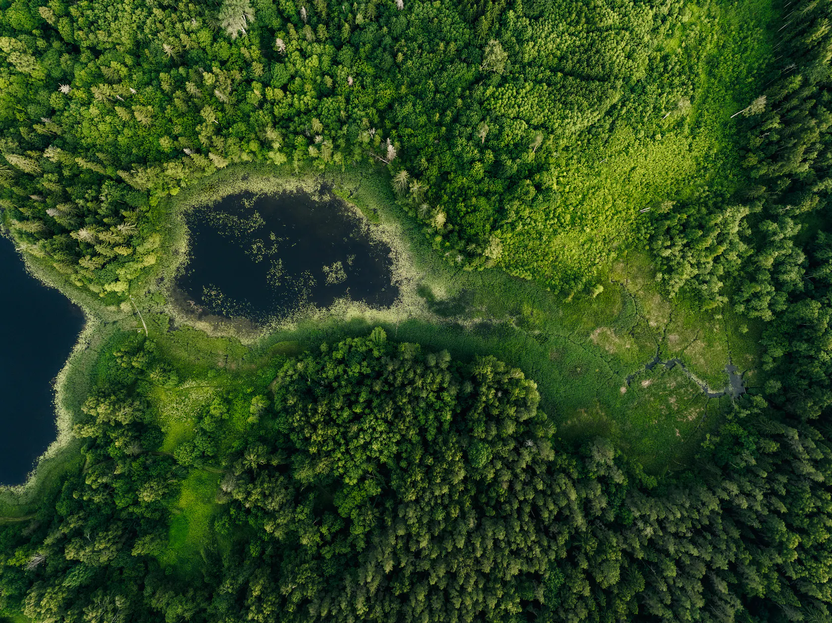 Aerial view of forested land with a pond